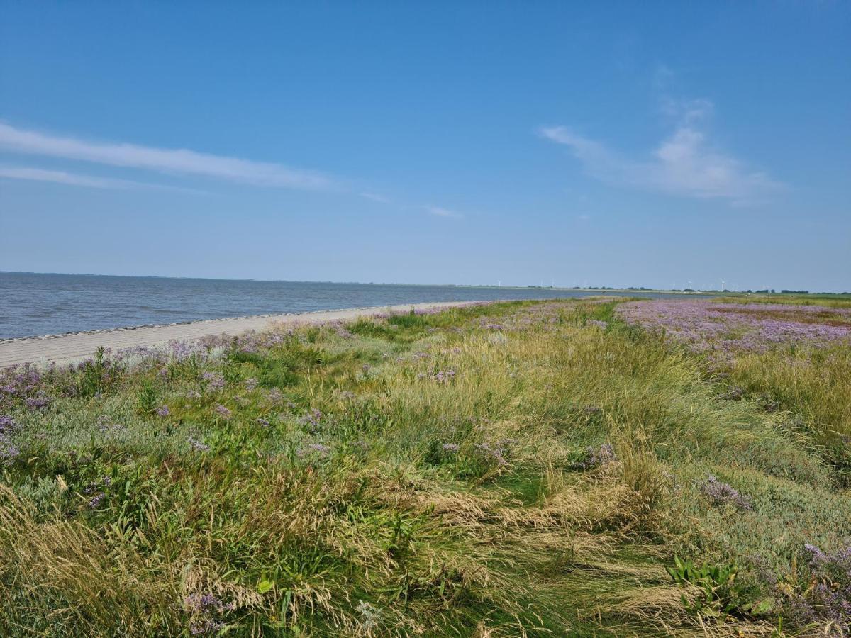 Haus Meererleben - Urlaub Mit Hund An Der Nordsee Schweiburg Exterior foto